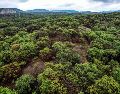 Lemus recordó que en Jalisco hay 37 Áreas Naturales Protegidas, entre ellas, el bosque La Primavera. EL INFORMADOR/ARCHIVO