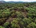 Lemus recordó que en Jalisco hay 37 Áreas Naturales Protegidas, entre ellas, el bosque La Primavera. EL INFORMADOR/ARCHIVO