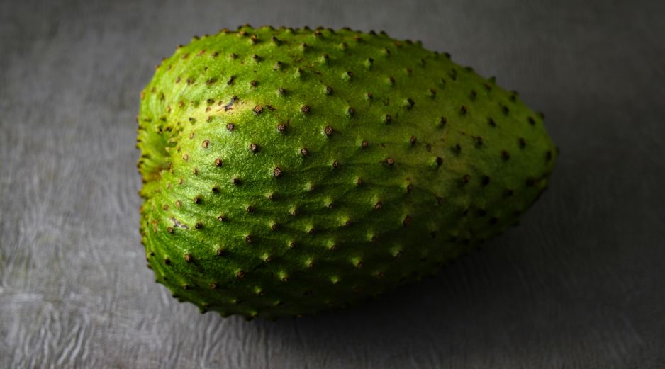 La capacidad de las hojas de guanabana combaten formaciones tumorales. UNSPLASH / O. IVÁN ESQUIVEL ARTEAGA