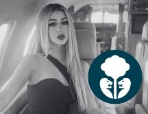 El fiscal de Jalisco señaló que son alrededor de nueve tomos, con más de 350 hojas, los que componen las investigaciones por el feminicidio de Valeria Márquez. IG / @v__marquez / ESPECIAL