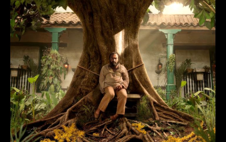 5 cosas que tienes que recordar antes de ver la temporada 2 de Cien años de soledad. INFORMADOR / Series de Netflix
