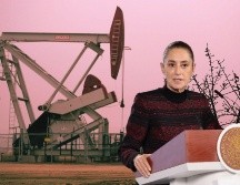 Durante su campaña presidencial de 2024, Sheinbaum prometió que 