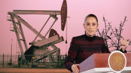 Durante su campaña presidencial de 2024, Sheinbaum prometió que 
