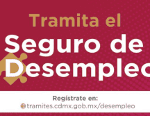 La estrategia detrás de este programa va de la mano con los objetivos de la actual administración capitalina para combatir la precariedad laboral. ESPECIAL