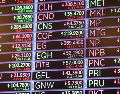 Al interior del mercado mexicano, destacaron las caídas de las emisoras Volaris, Cemex, Femsa, Genomma Lab y Gruma. EFE/S. Yenesel