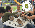 Además de encontrar especies difíciles de conseguir, los visitantes podrán aprender con especialistas y convivir con una comunidad que comparte el interés por la naturaleza.  FACEBOOK / CORREDOR BOTÁNICO EL REFUGIO