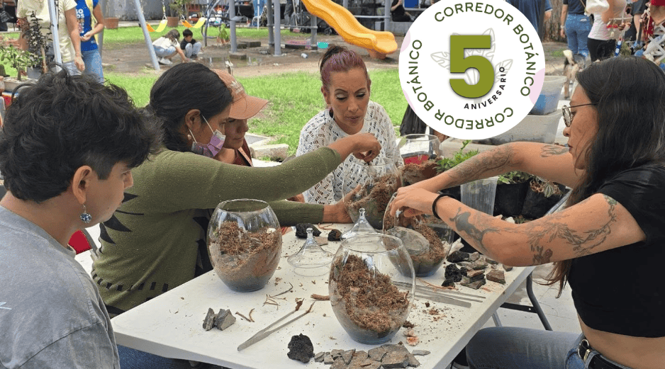 Además de encontrar especies difíciles de conseguir, los visitantes podrán aprender con especialistas y convivir con una comunidad que comparte el interés por la naturaleza.  FACEBOOK / CORREDOR BOTÁNICO EL REFUGIO