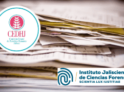 Los dictámenes son necesarios para integrar las carpetas de investigación iniciadas por delitos de homicidio culposo. UNSPLASH / C. RUEDA LOPEZ