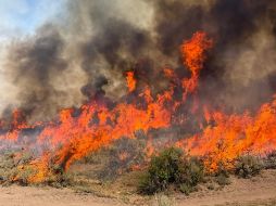 El helicóptero que se estrelló era uno de siete que trabajaban en el incendio forestal provocado por un rayo en el centro de Utah. AP/Bosque Nacional Fishlake
