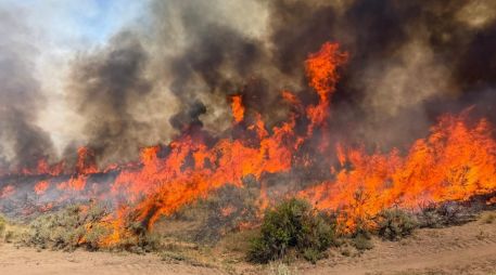 El helicóptero que se estrelló era uno de siete que trabajaban en el incendio forestal provocado por un rayo en el centro de Utah. AP/Bosque Nacional Fishlake