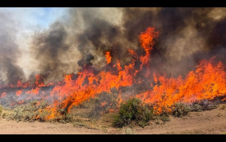 El helicóptero que se estrelló era uno de siete que trabajaban en el incendio forestal provocado por un rayo en el centro de Utah. AP/Bosque Nacional Fishlake