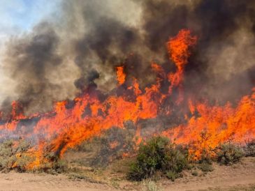 El helicóptero que se estrelló era uno de siete que trabajaban en el incendio forestal provocado por un rayo en el centro de Utah. AP/Bosque Nacional Fishlake