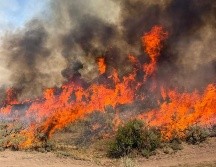 El helicóptero que se estrelló era uno de siete que trabajaban en el incendio forestal provocado por un rayo en el centro de Utah. AP/Bosque Nacional Fishlake