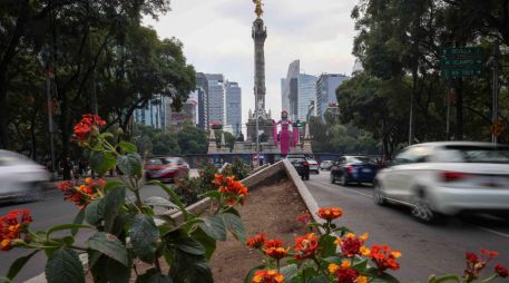 El programa Hoy No Circula se aplica de las 5:00 a las 22:00 horas en todas las alcaldías de la Ciudad de México y en tres zonas conurbadas del Estado de México. SUN/L. Camacho