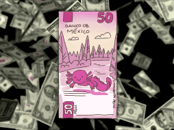 Los analistas financieros sugieren mantener la cautela a pesar del optimismo actual que rodea a la moneda nacional. ESPECIAL / CANVA