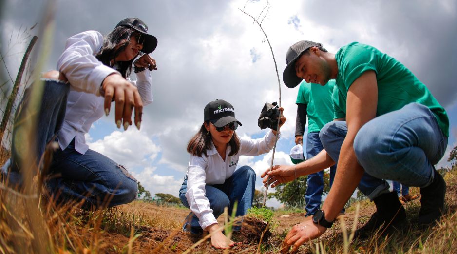 En la jornada de reforestación se plantaron 300 árboles de pino, fresno y mezquite. EFE/ F. Guasco