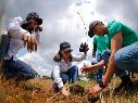 En la jornada de reforestación se plantaron 300 árboles de pino, fresno y mezquite. EFE/ F. Guasco