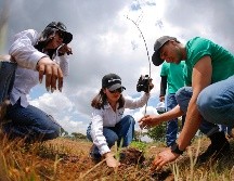 En la jornada de reforestación se plantaron 300 árboles de pino, fresno y mezquite. EFE/ F. Guasco