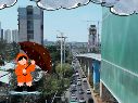 Te compartimos las condiciones que se prevén en Guadalajara con la presencia del monzón mexicano en el país este domingo. ESPECIAL / F. Flores