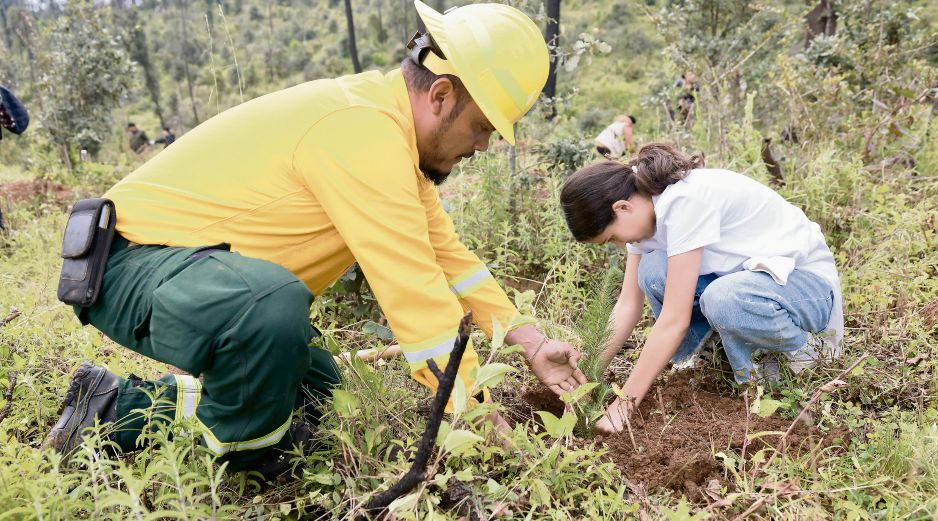 Autoridades y ciudadanos participaron en la plantación de 10 mil árboles nativos en 50 hectáreas del predio Agua Cerrada. Es parte de la Meseta de Tapalpa afectada en los últimos años por incendios forestales. ESPECIAL