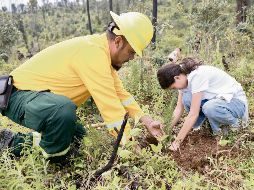 Autoridades y ciudadanos participaron en la plantación de 10 mil árboles nativos en 50 hectáreas del predio Agua Cerrada. Es parte de la Meseta de Tapalpa afectada en los últimos años por incendios forestales. ESPECIAL