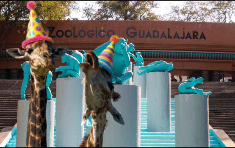 Si planeas aprovechar esta increíble promoción, te recordamos que el Zoológico Guadalajara se encuentra muy cerca de la Barranca de Huentitán. ESPECIAL/ EL INFORMADOR/ ARCHIVO/ Unsplash