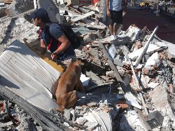 Personas caminan sobre los escombros de un edificio colapsado este lunes, en Cali, Colombia. EFE/ E. Guzmán