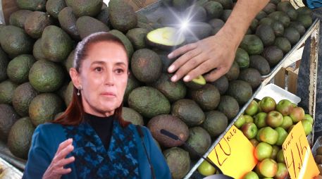 Luego de tres días de paralizado el corte, empaque y comercialización de aguacate de exportación a EU, este lunes se reanudaron las labores en los campos. EL INFORMADOR / ARCHIVO / SUN / M. Guzmán