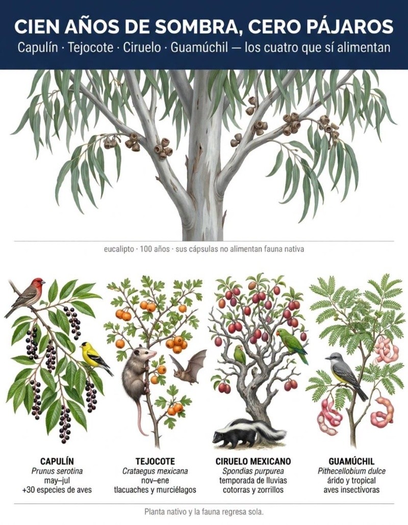 FACEBOOK / Consejos de Jardinería y Trucos