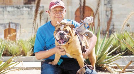 Los animales que participaron en el estudio eran mascotas procedentes de familias cariñosas. SUN/ARCHIVO