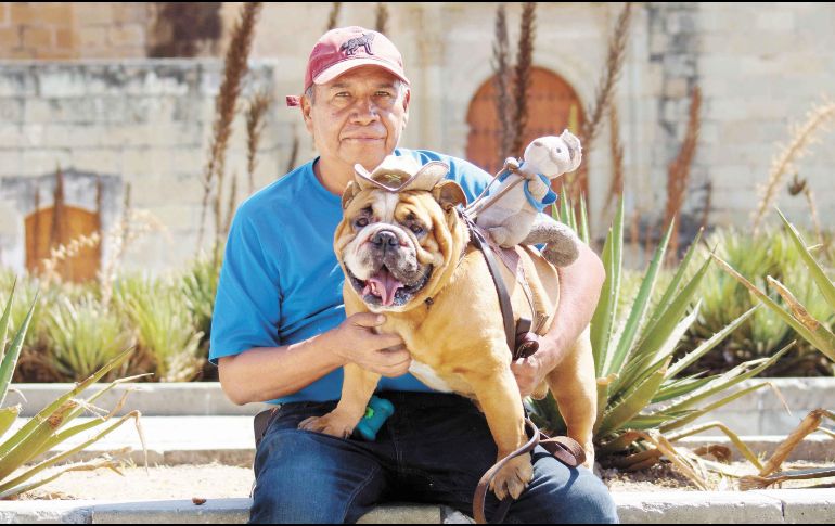 Los animales que participaron en el estudio eran mascotas procedentes de familias cariñosas. SUN/ARCHIVO