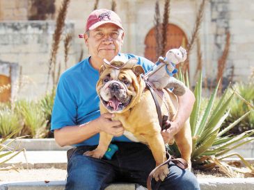 Los animales que participaron en el estudio eran mascotas procedentes de familias cariñosas. SUN/ARCHIVO