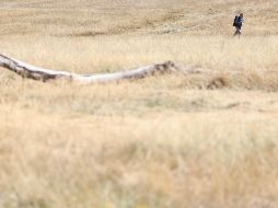 Países vecinos enfrentan emergencias hídricas de magnitudes similares. EFE / N. Hall