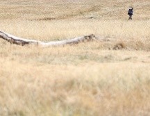 Países vecinos enfrentan emergencias hídricas de magnitudes similares. EFE / N. Hall