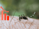 Las autoridades insistieron en que la participación de la población es necesaria para reducir los sitios donde puede reproducirse el mosquito transmisor del dengue. CANVA