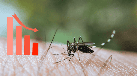 Las autoridades insistieron en que la participación de la población es necesaria para reducir los sitios donde puede reproducirse el mosquito transmisor del dengue. CANVA