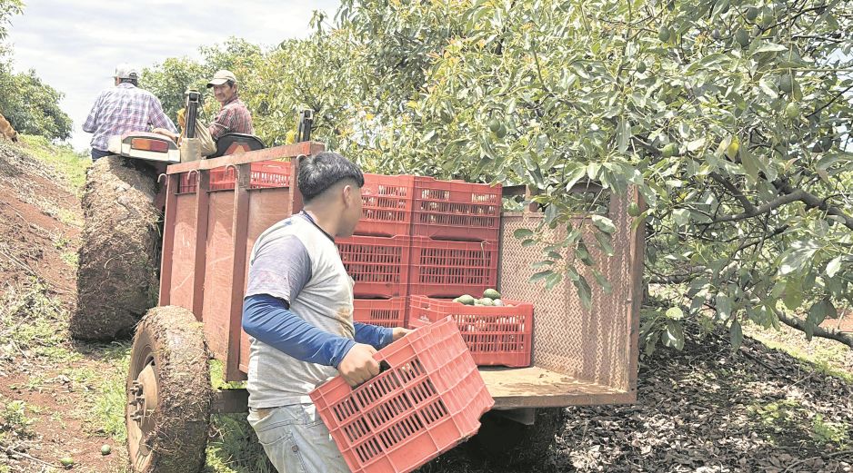 El Gobierno federal anunció que reforzará la seguridad en Michoacán. EL UNIVERSAL