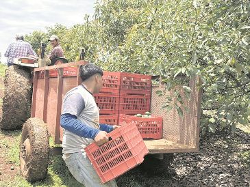 El Gobierno federal anunció que reforzará la seguridad en Michoacán. EL UNIVERSAL