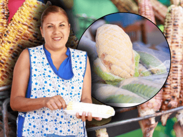 Además de los alimentos, la Feria del Elote contará con un extenso programa de entretenimiento. ESPECIAL/Gobierno de Zapopan