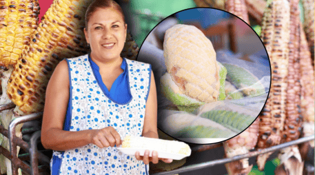 Además de los alimentos, la Feria del Elote contará con un extenso programa de entretenimiento. ESPECIAL/Gobierno de Zapopan