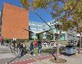 Durante la actual administración de la UdeG, con la rectora Karla Planter, se han implementado nuevos procesos para mejorar aún más el sistema de titulación. EL INFORMADOR / ARCHIVO