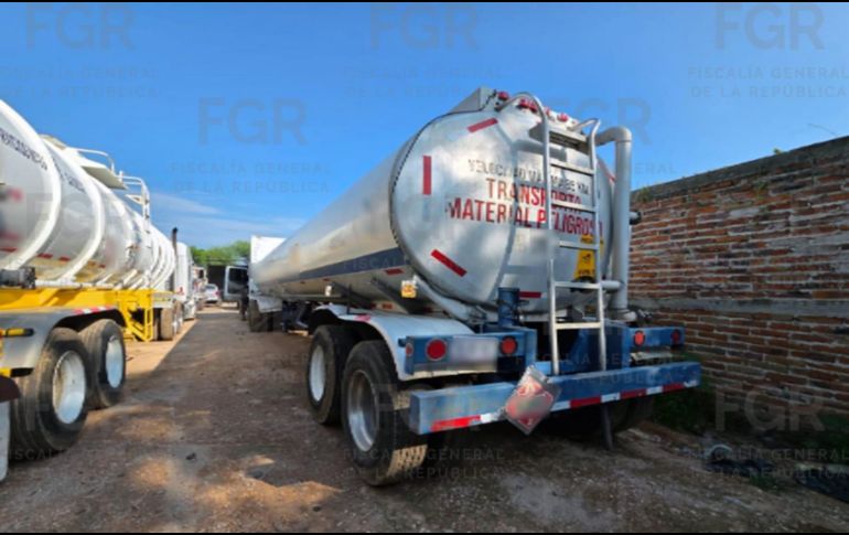 Se recibió una denuncia anónima que derivó en la inspección de la finca. ESPECIAL