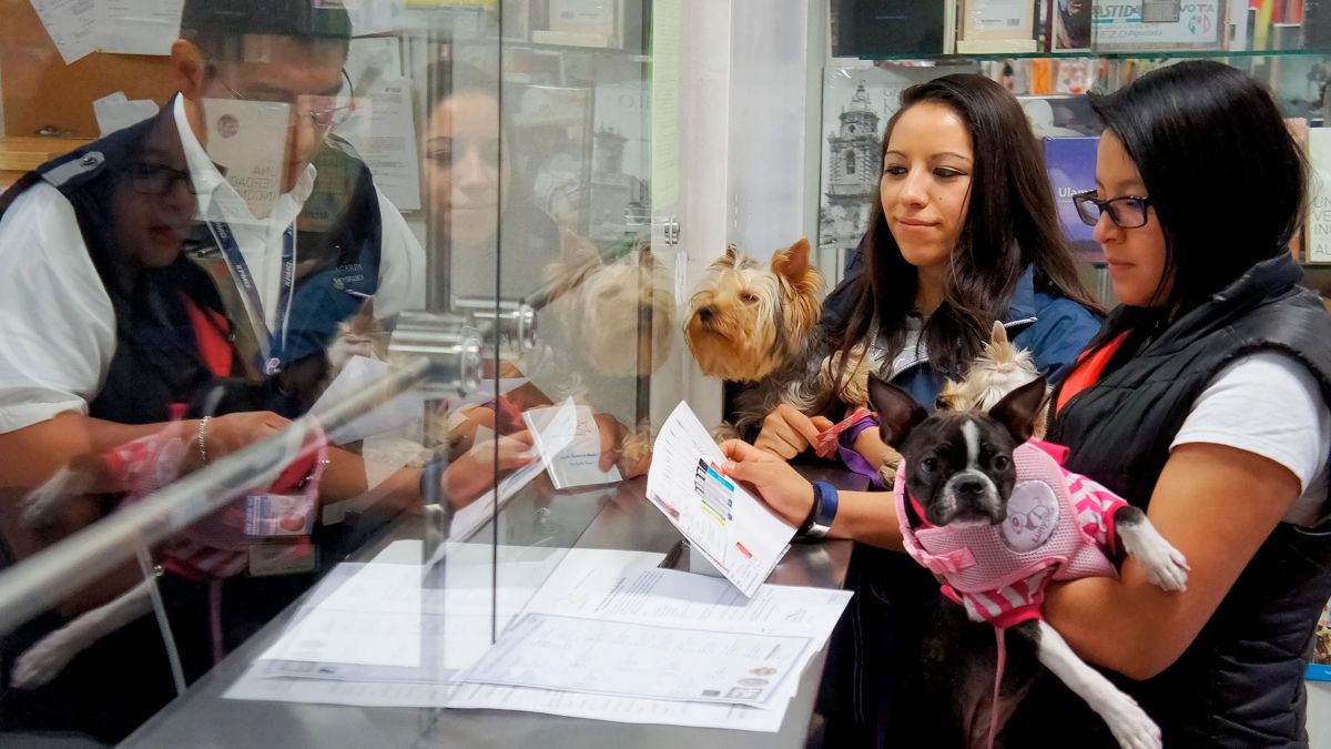 Gobierno de México exige certificado a perros y aves de EU para ingresar al país