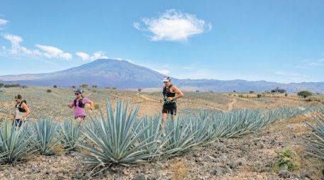 La carrera contará con cinco distancias: 9, 16, 27, 42 y 60 kilómetros; cada una permitirá acercarse al territorio desde un reto distinto. ESPECIAL