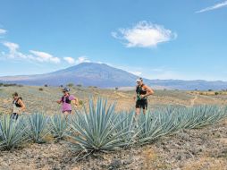 La carrera contará con cinco distancias: 9, 16, 27, 42 y 60 kilómetros; cada una permitirá acercarse al territorio desde un reto distinto. ESPECIAL