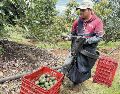 Fuerzas federales refuerzan su presencia para cuidar de productores. EL UNIVERSAL