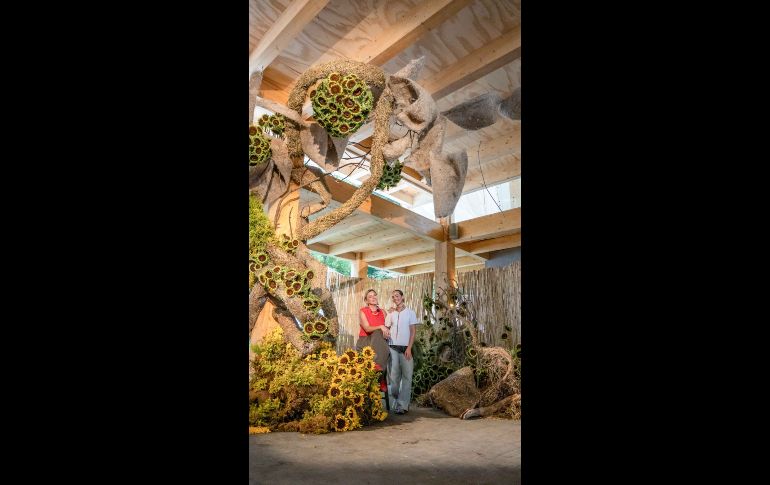 Workshop Overgrown Floral Sculptures. GENTE BIEN JALISCO / M. Rached