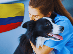 Tania mantuvo la calma y decidió permanecer dentro junto a los perros internados, pues se le dificultada evacuar a todos los animales ella sola. ESPECIAL / CANVA