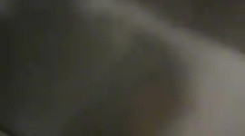 Veterinaria protege a perros en sismo de Colombia