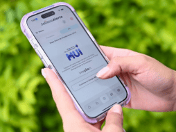 Conoce cómo recibir alertas de lluvia y consultar zonas de inundación en Guadalajara mediante la app Jalisco Alerta. ESPECIAL/Gobierno de Jalisco